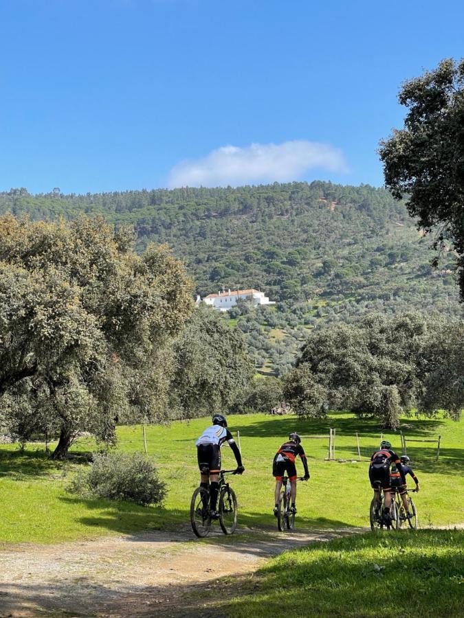 Monte Dos Pensamentos - Turismo Rural Estremoz Kültér fotó